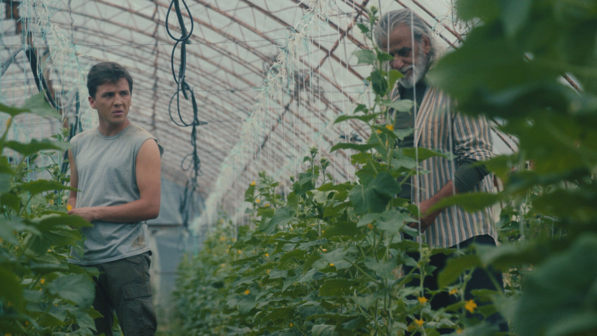 Kısa Film Seçkisi – 2  görsel 10